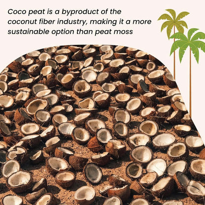 Stop Killing Your Plants With Bad Soil.